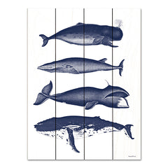 LET564PAL - Whales - 12x16