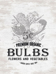 LET602 - Bulbs - 12x16