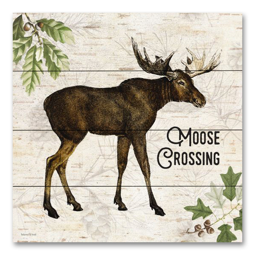 lettered & lined LET613PAL - LET613PAL - Moose Crossing - 12x12 Moose Crossing, Moose, Lodge, Leaves, Acorns, Animals, Masculine, Typography, Signs from Penny Lane