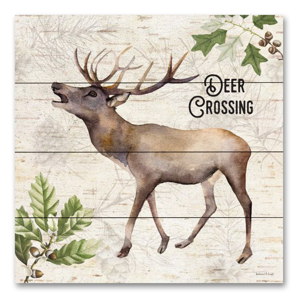 lettered & lined LET614PAL - LET614PAL - Deer Crossing - 12x12 Deer Crossing, Deer, Lodge, Leaves, Acorns, Animals, Masculine, Typography, Signs from Penny Lane