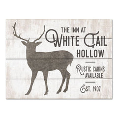 LET619PAL - White Tail Hollow - 16x12