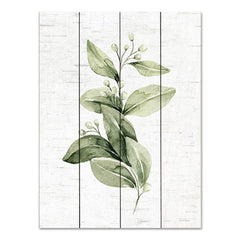 LET675PAL - Leafy Retreat 5 - 12x16