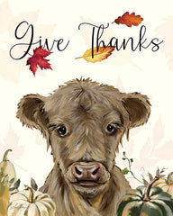 LK206 - Give Thanks Highland Calf - 12x16