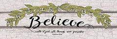 LS1796 - Believe        - 18x6