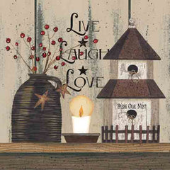 LS1903 - Live Laugh Love Birdhouse - 12x12