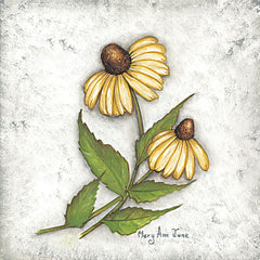 MARY548 - Yellow Coneflowers - 12x12