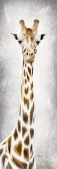 MAZ5473B - Geri the Giraffe - 12x36