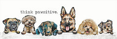 MAZ5666A - Think Pawsitive    - 36x12