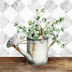 MAZ5680 - Eucalyptus White Watering Can    - 12x12