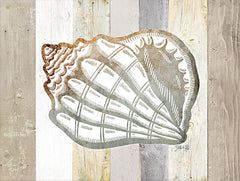 MAZ5825 - Coastal Shell I - 16x12