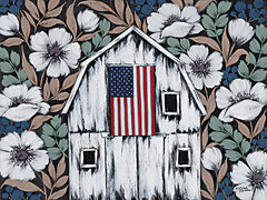 MN374 - America, America - 16x12