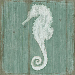 MOL1642 - Seahorse - 12x12