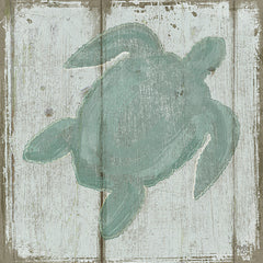 MOL1645 - Turtle - 12x12