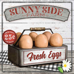 MOL2011 - Sunny Side Farm - 0