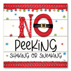 MOL2167PAL - No Peeking - 12x12