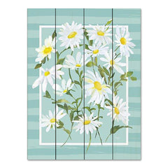 MOL2496PAL - Daisies and More Daisies - 12x16