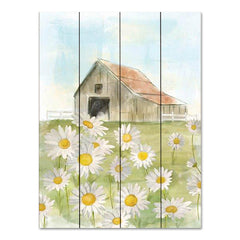 MOL2499PAL - Field of Daisies - 12x16