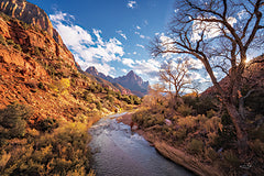 MPP1004 - Zion Virgin River - 18x12