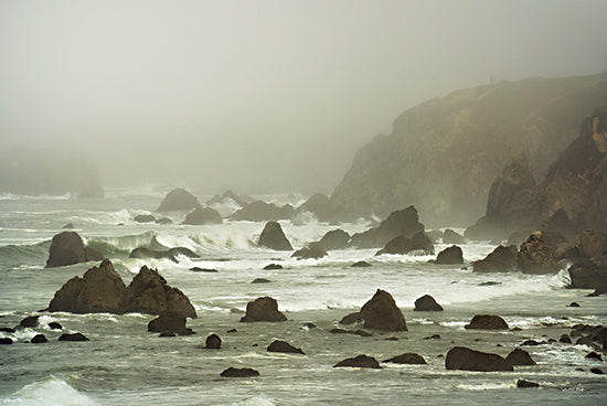 Martin Podt MPP1067 - MPP1067 - June Gloom in California - 18x12 Photography, Coastal, Ocean, Rocks, California, Waves, Fog, Nature, June Gloom in California from Penny Lane