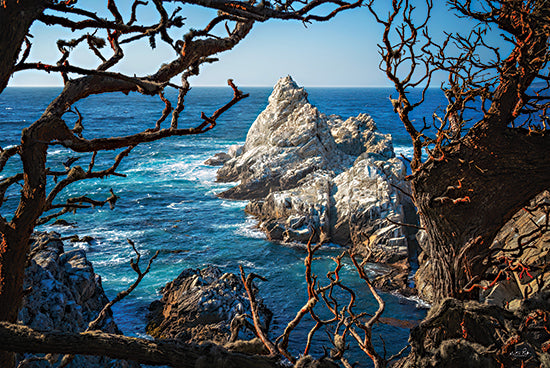 Martin Podt MPP1068 - MPP1068 - Bird Rock, Big Sur - 18x12 Photography, Coastal, Ocean, Big Sur, Pacific Ocean, California, Trees, Rocks, Blue from Penny Lane