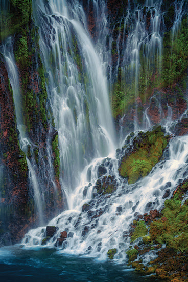 Martin Podt MPP1069 - MPP1069 - Water Paradise - 12x18 Photography, Landscape, Waterfall, River, Moss, Rocks, Nature from Penny Lane