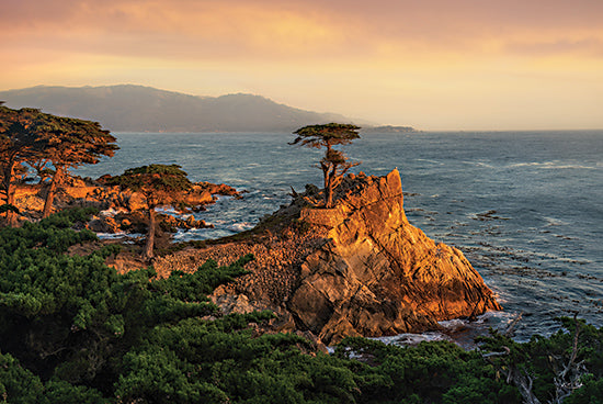 Martin Podt MPP1070 - MPP1070 - Lone Cypress at Sunset - 18x12 Photography, Coastal, Landscape, Ocean, Rocks, Trees, Cypress Tress, Sunset, Nature from Penny Lane