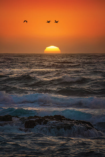 Martin Podt MPP1071 - MPP1071 - California Pelicans at Sunset - 12x18 Photography, Coastal, Landscape, Ocean, Waves, Sun, Sunset, Birds, Pelicans, California, Rocks, California Pelicans at Sunset from Penny Lane