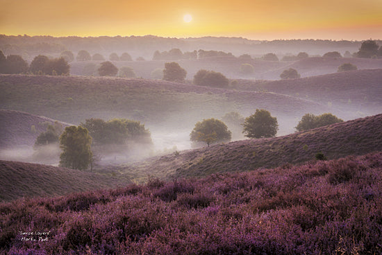 Martin Podt MPP221 - Sunrise Layers - Tree, Hills, Sun, Landscape, Nature, Photography, Trees, Path from Penny Lane Publishing