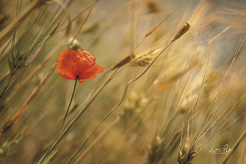 Martin Podt MPP329 - Poppy Art - Poppy, Field from Penny Lane Publishing