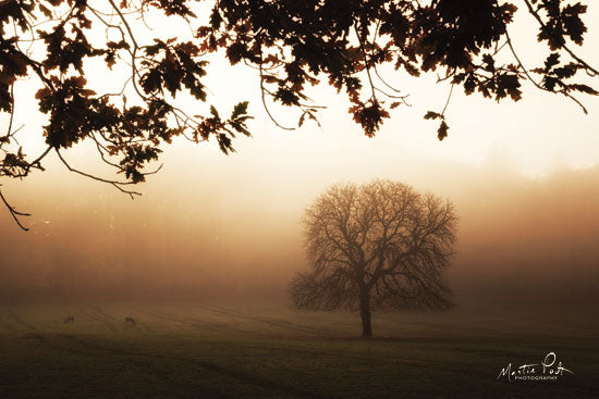 Martin Podt MPP521 - MPP521 - Under the Leaves  - 18x12 Photography, Tree, Landscape, Nature, Sunlight from Penny Lane