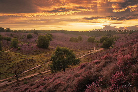 Martin Podt MPP617 - MPP617 - Just a Sunset in the Netherlands - 18x12 Photography, Sunset, Landscape, Trees, Flowers from Penny Lane