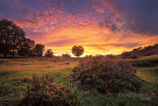 Martin Podt MPP619 - MPP619 - From the Netherlands with Love - 18x12 Photography, Netherlands, Landscape, Trees, Sunset from Penny Lane