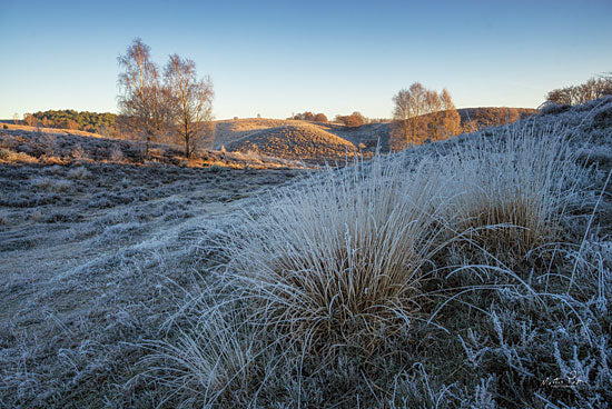 Martin Podt MPP622 - MPP622 - Cold as Ice - 18x12 Photography, Landscape, Field, Trees from Penny Lane