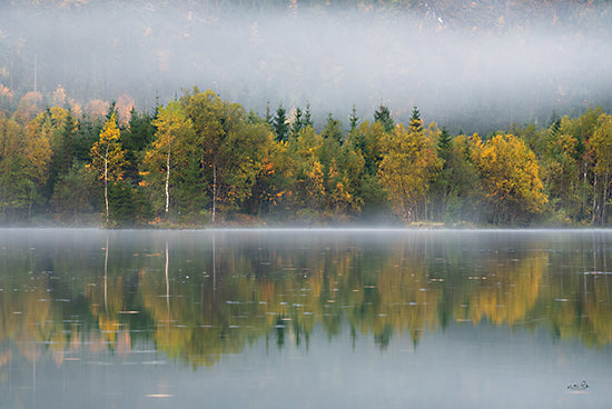 Martin Podt MPP638 - MPP638 - Layers - 18x12 Trees, Lake, Nature, Landscape, Photography from Penny Lane