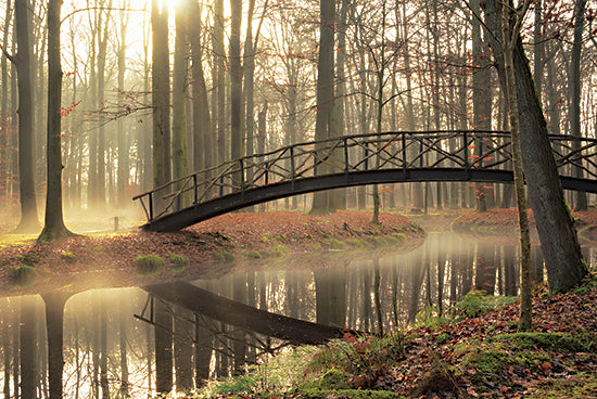 Martin Podt MPP660 - MPP660 - Bridge Over Troubled Waters - 18x12 Bridge, River, Trees, Path, Sunlight, Photography, Nature from Penny Lane