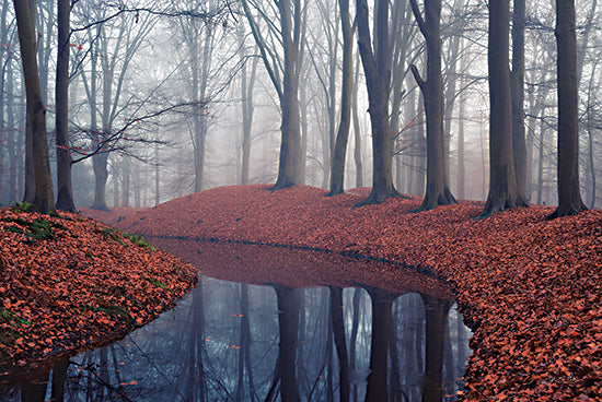 Martin Podt MPP668 - MPP668 - There's a Dark Side to Everything - 18x12 Trees, River, River Bank, Leaves, Nature from Penny Lane