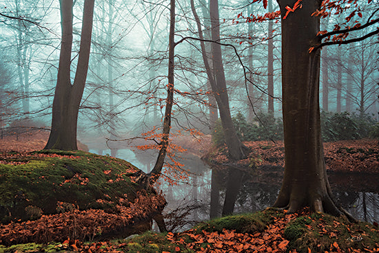 Martin Podt MPP669 - MPP669 - Still Waters Run Deep - 18x12 Trees, River, River Bank, Leaves, Nature from Penny Lane