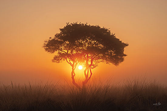 Martin Podt MPP684 - MPP684 - Enjoy the Silence III - 18x12 Trees, Sunlight, Nature, Landscape, Photography from Penny Lane