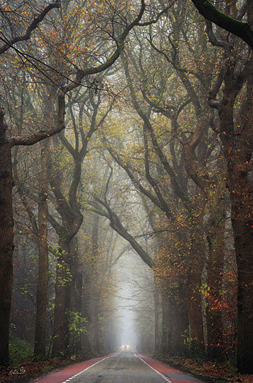 Martin Podt MPP776 - MPP776 - Tiny Car    - 12x18 Photography, Trees, Road, Path, Car, Headlights, Evening from Penny Lane