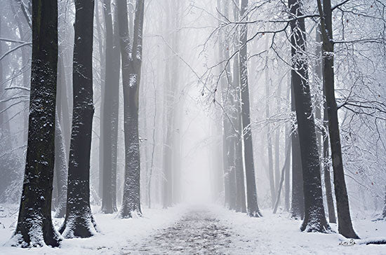 Martin Podt MPP789 - MPP789 - Whiteout - 18x12 Winter, Forest, Photography, Snow, Path, Trees, Landscape from Penny Lane