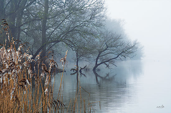 Martin Podt MPP804 - MPP804 - In the Swamps - 18x12 In the Swamps, Swamp, Trees, Water, Photography, Landscape from Penny Lane