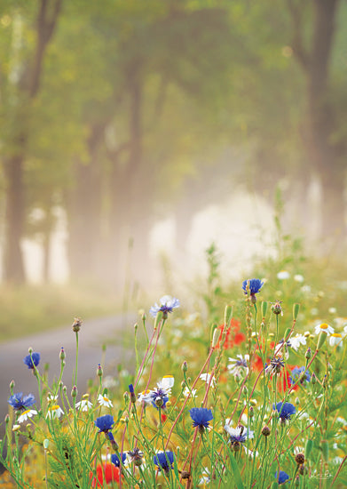 Martin Podt MPP827 - MPP827 - Bee Pleasure - 12x18 Flowers, Landscape, Road, Path, Tree, Photography, Wildflowers from Penny Lane