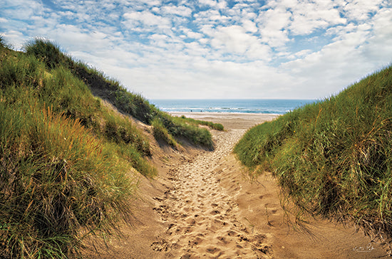 Martin Podt MPP830 - MPP830 - The Dutch North Sea Coast I - 18x12 Dutch North Sea, Coast, Coastal, Ocean, Atlantic Ocean, Path, Sand, Photography from Penny Lane