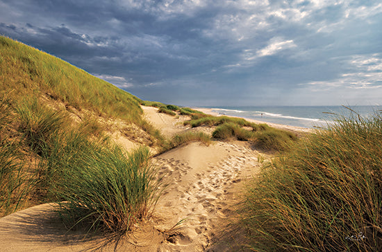 Martin Podt MPP831 - MPP831 - The Dutch North Sea Coast II - 18x12 Dutch North Sea, Coast, Coastal, Ocean, Atlantic Ocean, Path, Sand, Photography from Penny Lane