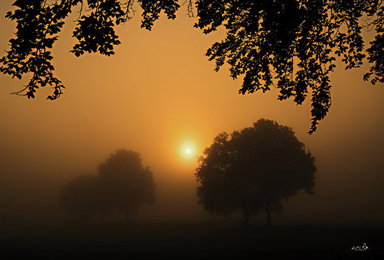 Martin Podt MPP836 - MPP836 - Foggy Sunrise - 18x12 Foggy Sunrise, Fog, Sunrise, Photography, Trees, Sun, Nature from Penny Lane