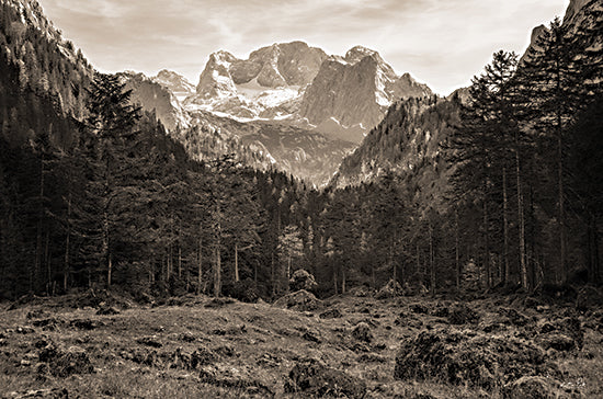 Martin Podt MPP844 - MPP844 - Mountains in the Middle    - 18x12 Mountains, Trees, Forest, Landscape, Sepia, Landscape from Penny Lane