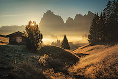 MPP878LIC - Morning in Italy Countryside - 0