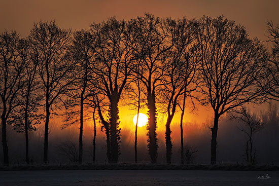 Martin Podt MPP888 - MPP888 - Sunrise Silhouettes - 18x12 Photography, Forest, Landscape, Trees, Sunrise, Silhouettes, Nature from Penny Lane