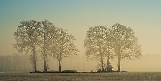 Martin Podt Licensing MPP891LIC - MPP891LIC - Grove of Trees - 0  from Penny Lane