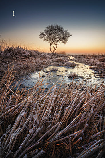 Martin Podt Licensing MPP904LIC - MPP904LIC - The Frost - 0  from Penny Lane